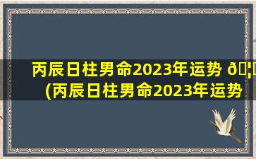 丙辰日柱男命2023年运势 🦁 (丙辰日柱男命2023年运势怎么样)